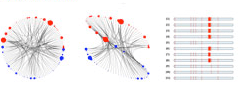 Integrated Genomic & Protein Data