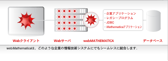 webMathematicaは，どのような企業の情報技術システムにでもシームレスに統合します．