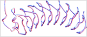 Fast exact-match searches for sequences in the human genome