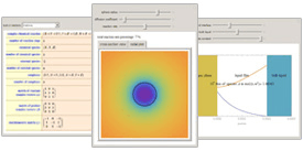 Interactive Chemical Engineering Examples