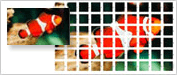 Cut and paste or drag and drop images directly into commands or equations, and operate on them as simply as on any numerical input