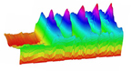 Mathematicaの3Dプロットを利用して複合生物体の特徴を表現