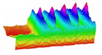 Representación 3D en Mathematica ayuda a biólogos a caracterizar un organismo compuesto