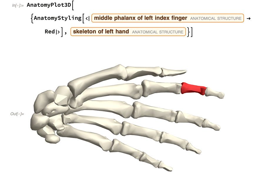 Anatomy plot of middle phalanx of left index finger