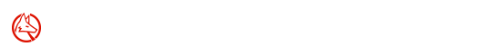 Wolfram Language Fast Introduction for Math Students