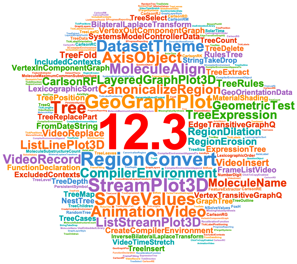 Language 12.3 word cloud