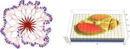 Ampla capacidade de visualização automatizada