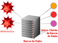 Conectividade com bases de dados Conectividade com bases de dados