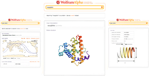 Dynamic report generation Dynamic report generation