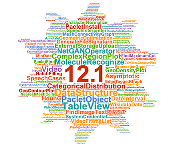 Language 12.1 word cloud