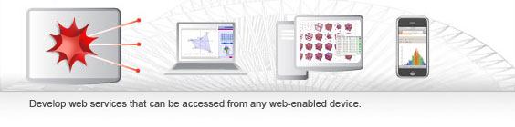 Develop web services that can be accessed from any web-enabled device.
