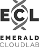 Emerald Cloud Lab